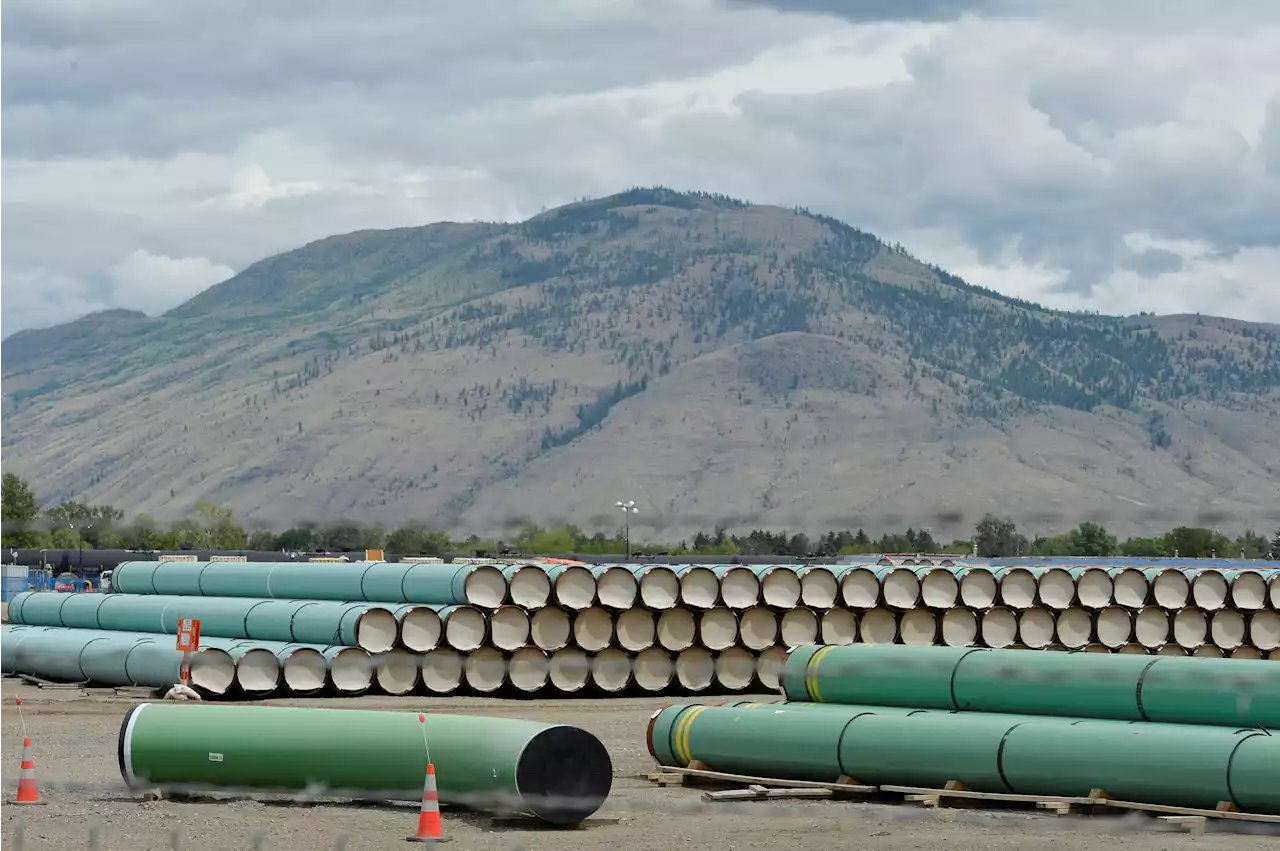 Canada's Trans Mountain pipe expansion to disrupt oil flow to US, boost prices