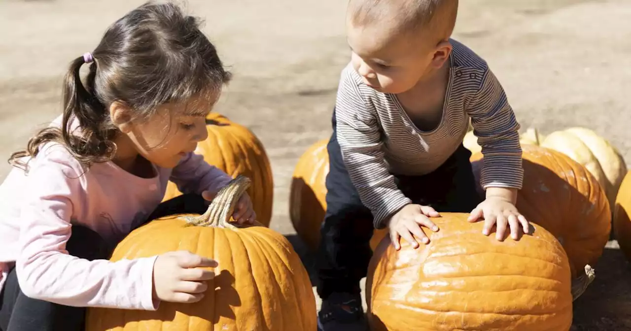 Se espera un clima más fresco esta semana mientras San Diego se prepara para el inicio del otoño el viernes