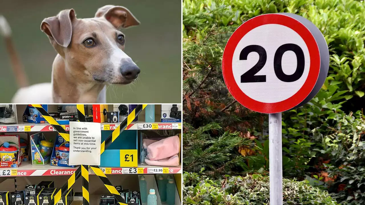 Scrapping 20mph default limit, lockdown restrictions and banning greyhound racing - the Senedd's most popular petitions