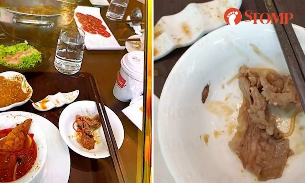 Diner finds roach in food at Ion Orchard steamboat restaurant, manager apologises and waives bill