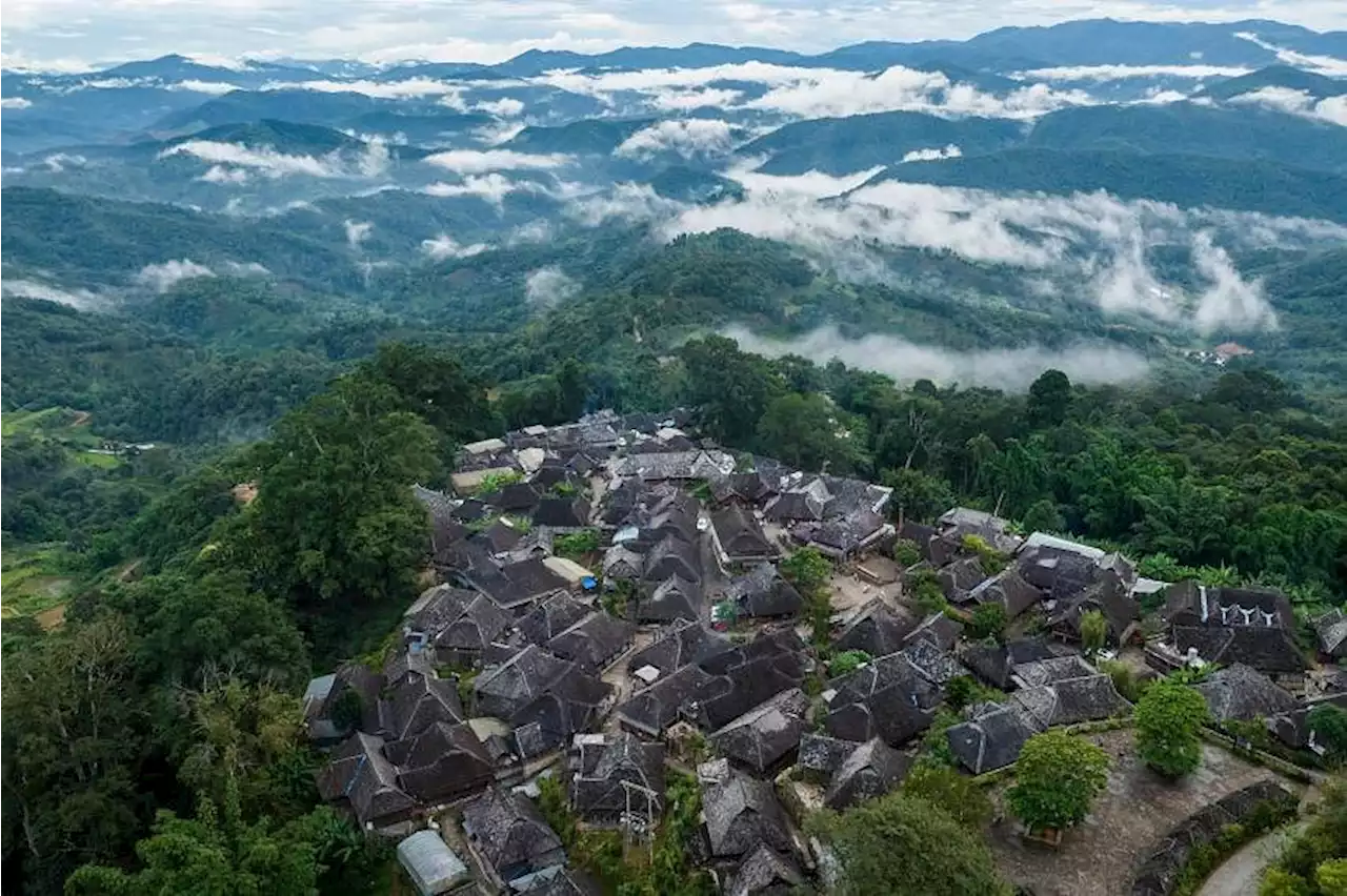 Old tea forests in China’s Pu’er gain Unesco World Heritage Site status