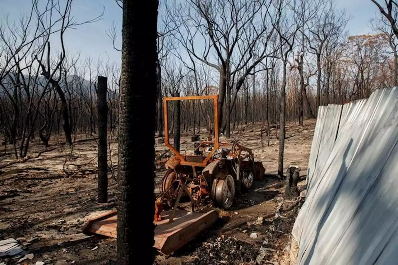 Sydney issues total fire ban as spring heatwave grips Australia