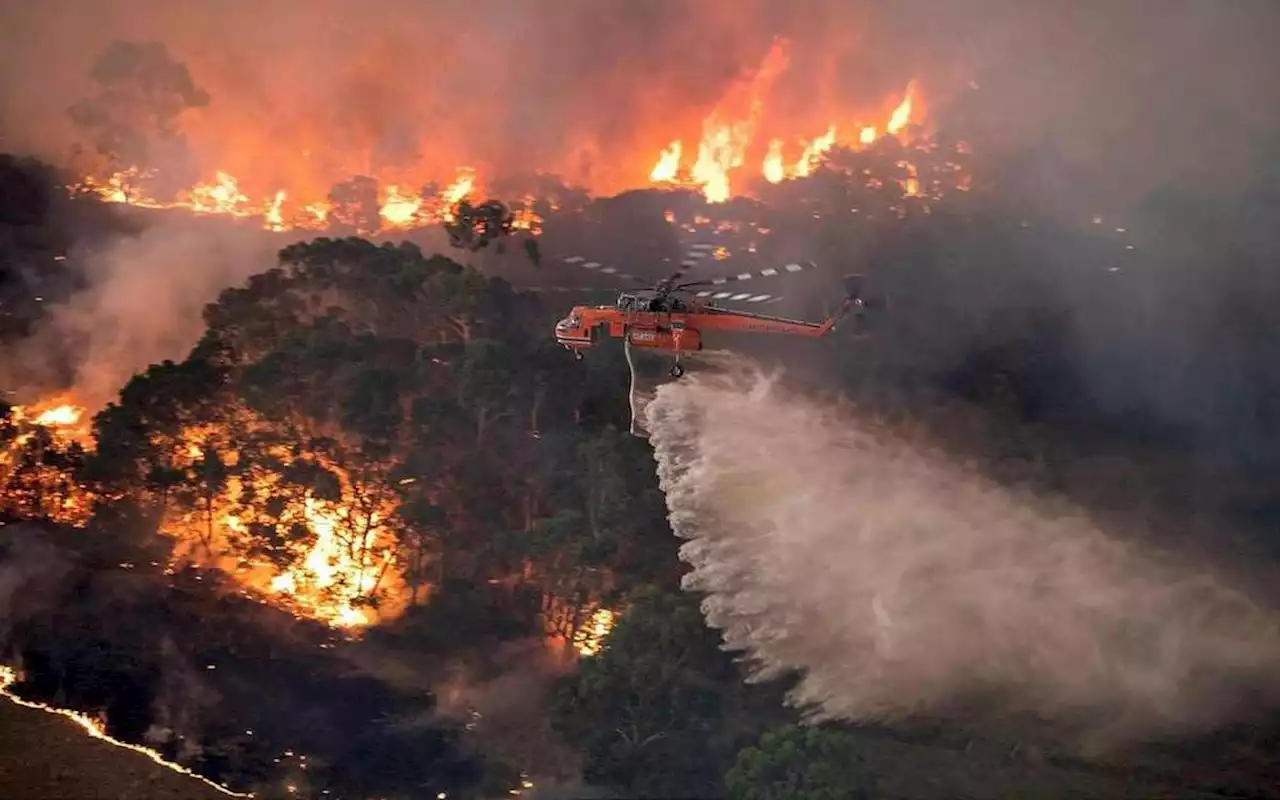 Vague de chaleur en Australie, les pompiers craignent « des incendies terribles »