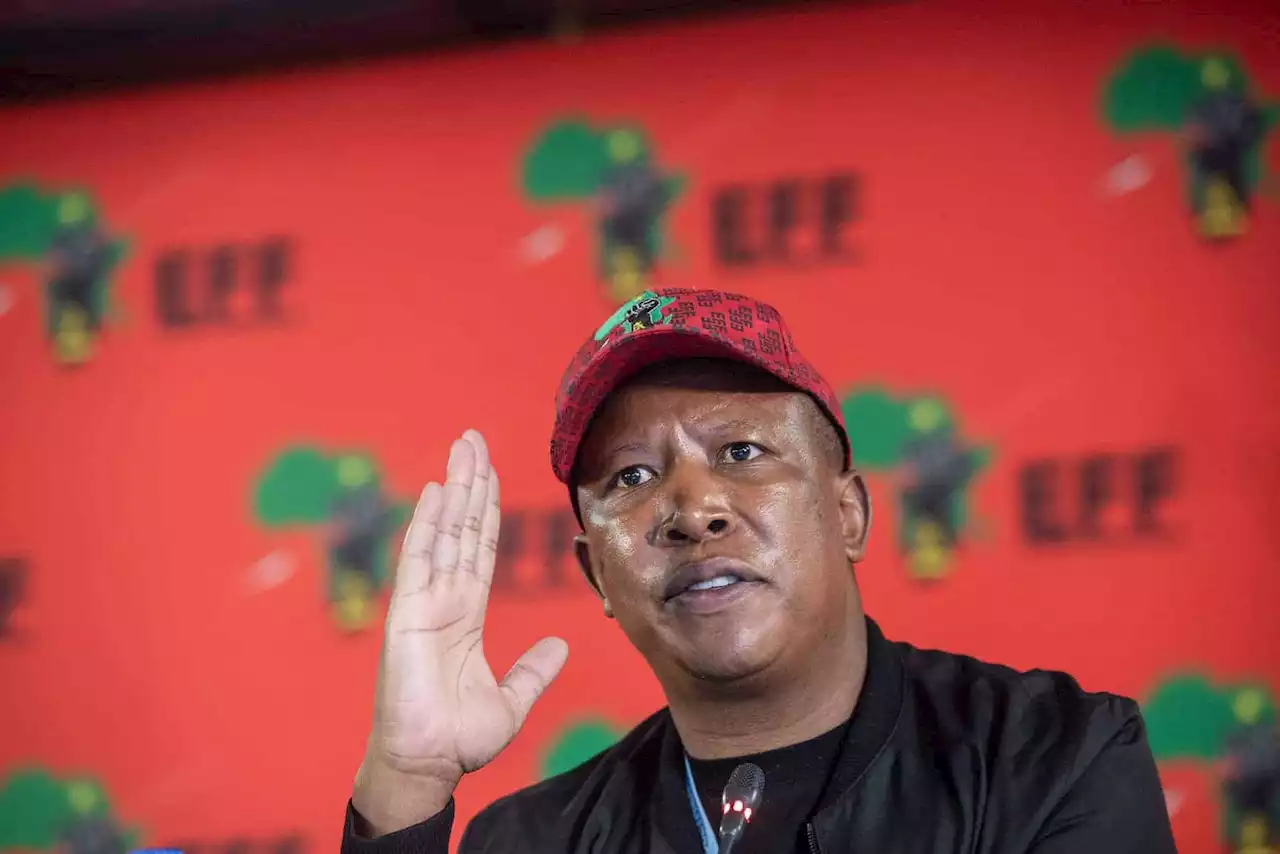 Juju for president: Charismatic leader or a risk to SA's future?