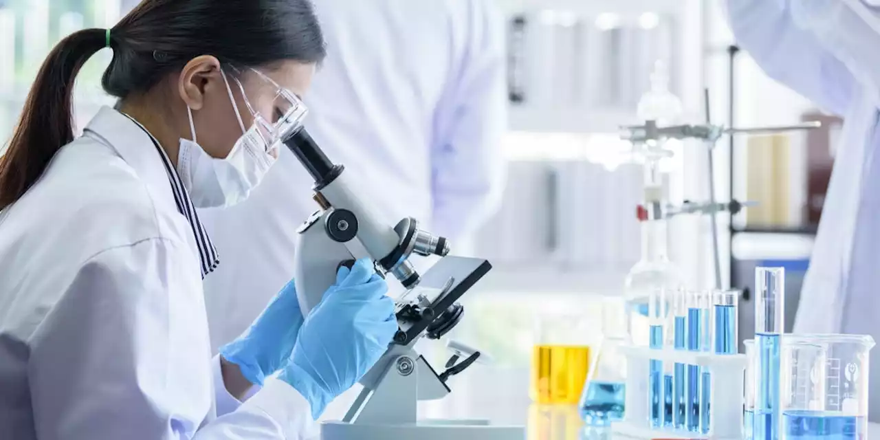 The DoD wants AI-powered microscopes that can detect cancer