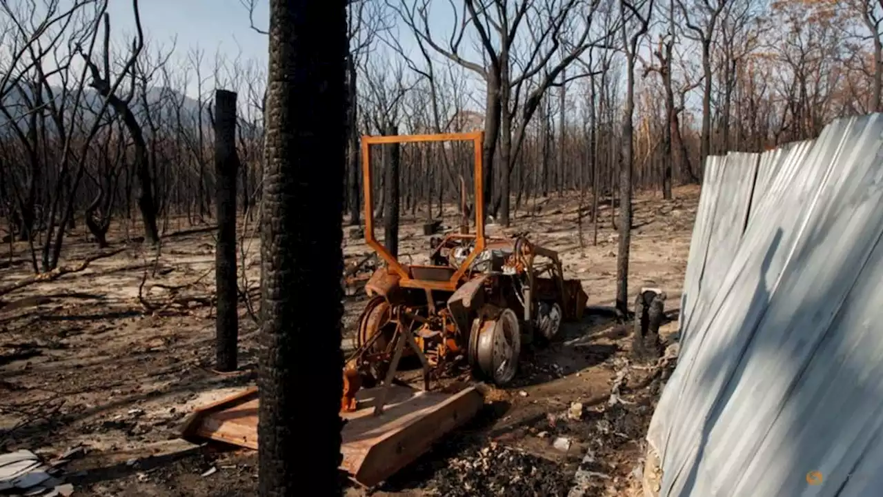 Sydney issues total fire bans as spring heatwave grips Australia