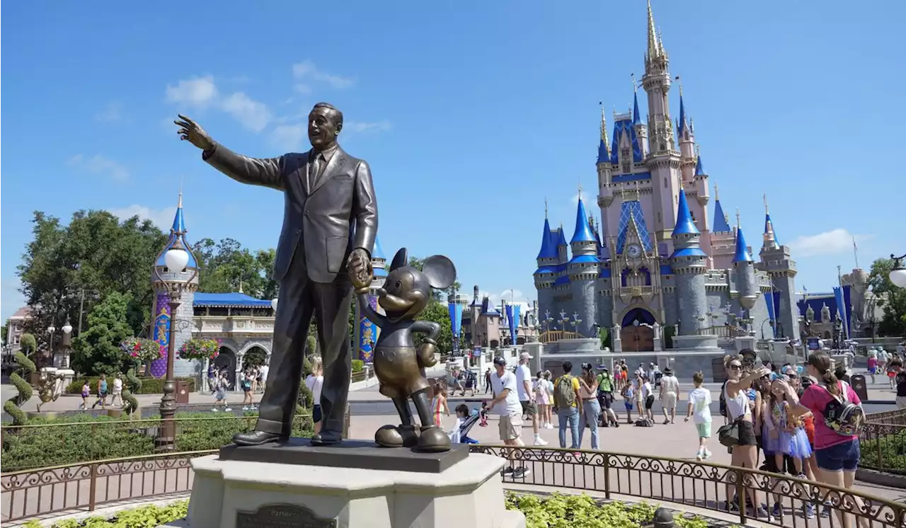 Black bear looking for the bare necessities captured at Walt Disney World’s Magic Kingdom