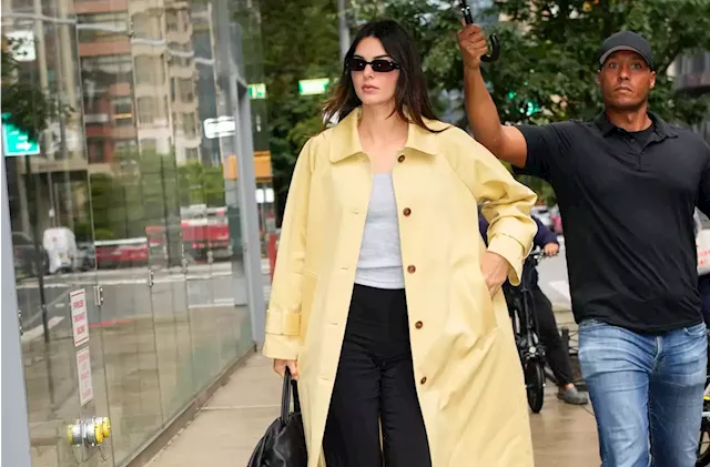 Kendall Jenner's Gigantic Bag Looked Even Bigger Next to Her Itty-Bitty  Pantsless Outfit