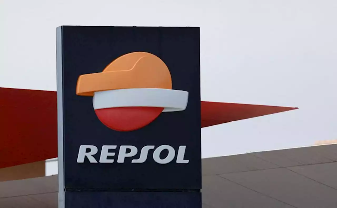 Power costs, patchwork regulations delay energy transition: Repsol