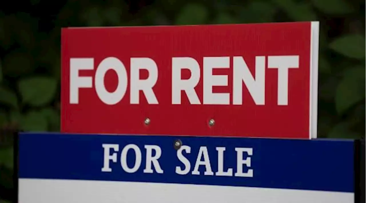 Rent is going up faster in Brampton than any other Canadian city, data shows