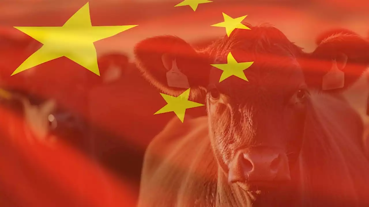 China's economy might be slowing, but its appetite for beef is not