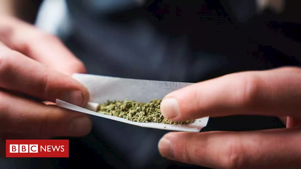 Maconha: por que fumar cannabis não é inofensivo como muitos pensam