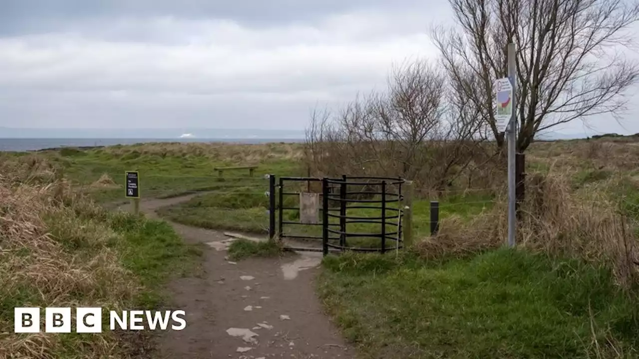 Ballymacormick Point: Dead whale washes up on County Down coast