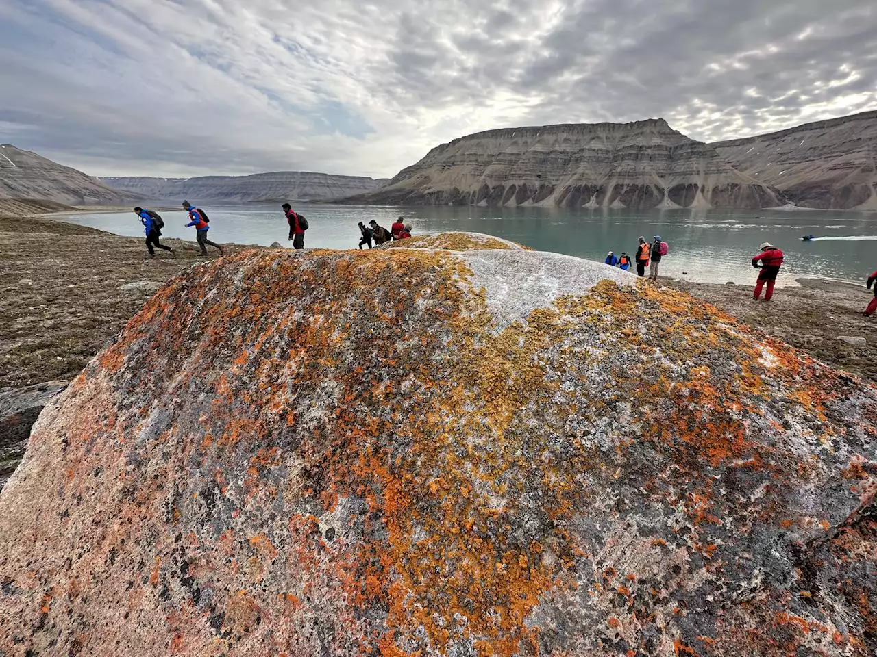 ARCTIC HIGH: Bears, whales and awesome scenery on top of the world