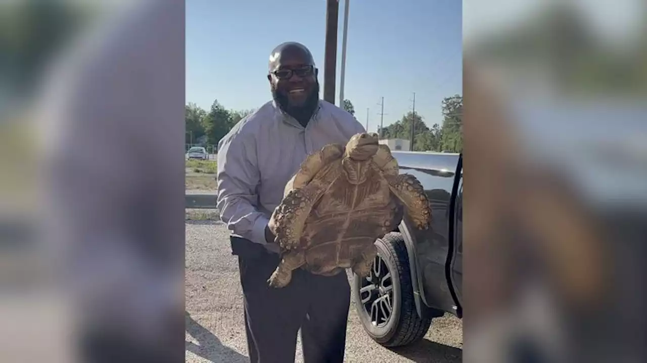 100-year-old African tortoise reunited with family after being rescued from canal, officials say