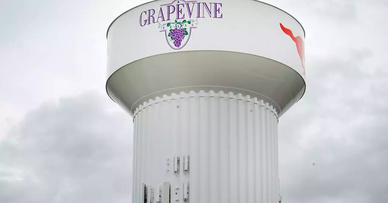 Fox found in Grapevine tests positive for rabies