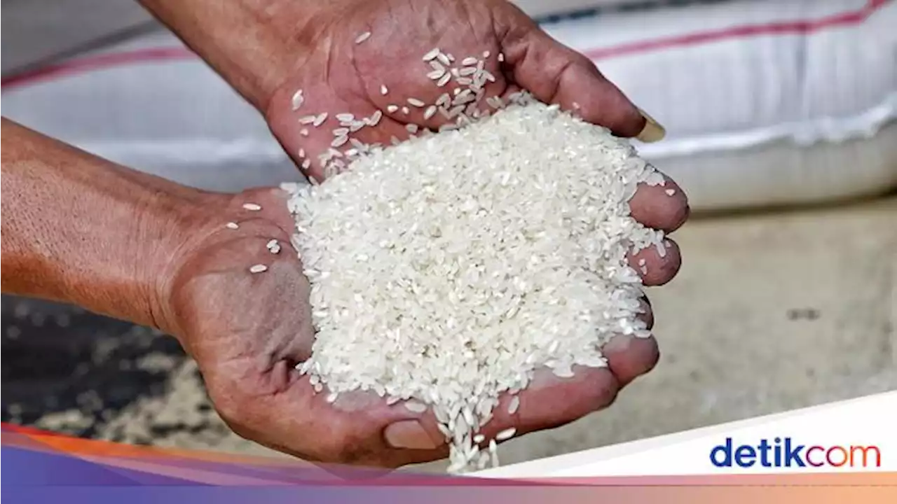 Biang Kerok Harga Beras Naik Gila-gilaan Terkuak