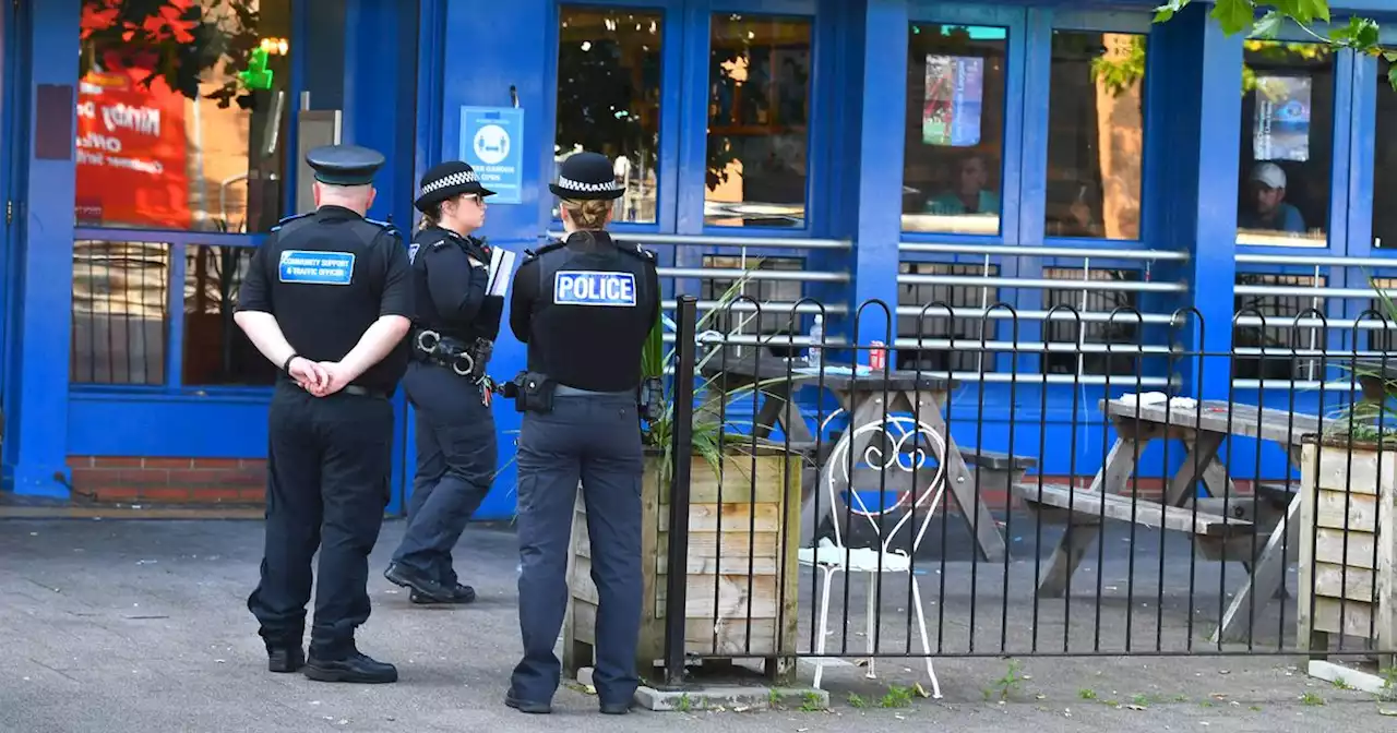 Staff 'devastated' as girl mauled in front of horrified pubgoers