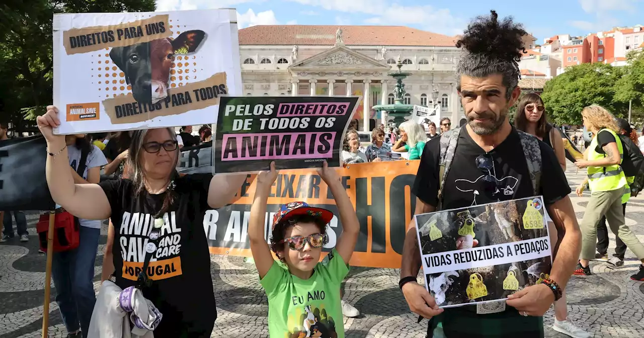 'Não é por um animal ter nascido animal que deve ser condenado ao sofrimento': manifestação reúne cerca de 200 pessoas em Lisboa