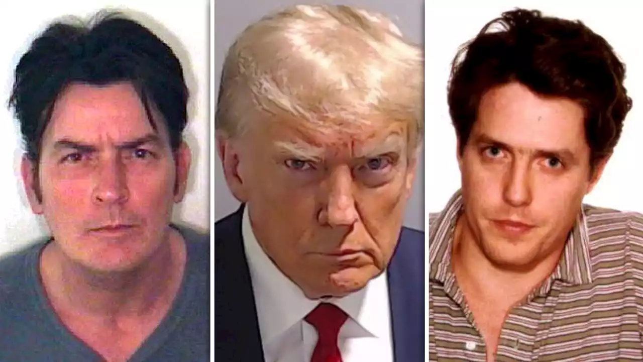 Nicht nur von Donald Trump existiert ein Mugshot: Wir haben die 44 wildesten Verbrecherfotos der Stars!