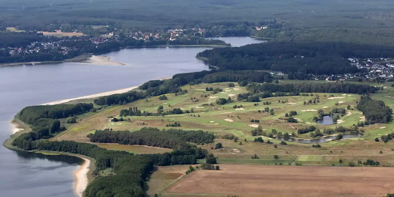 Deutschlands Wasser-Dilemma: Vor den Toren Berlins stirbt ein Badesee