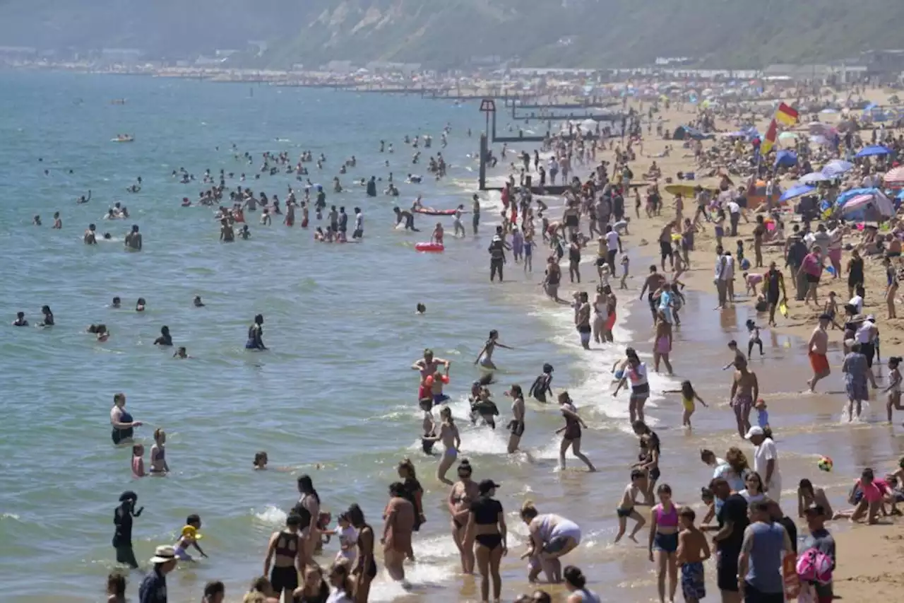 Heatwave may be on the way for parts of UK this week, forecasters say