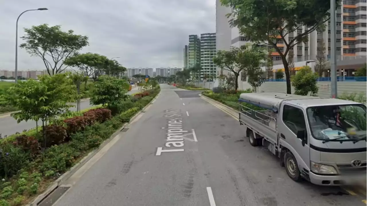 Tampines Town Council makes police report after man cuts down tree in HDB estate