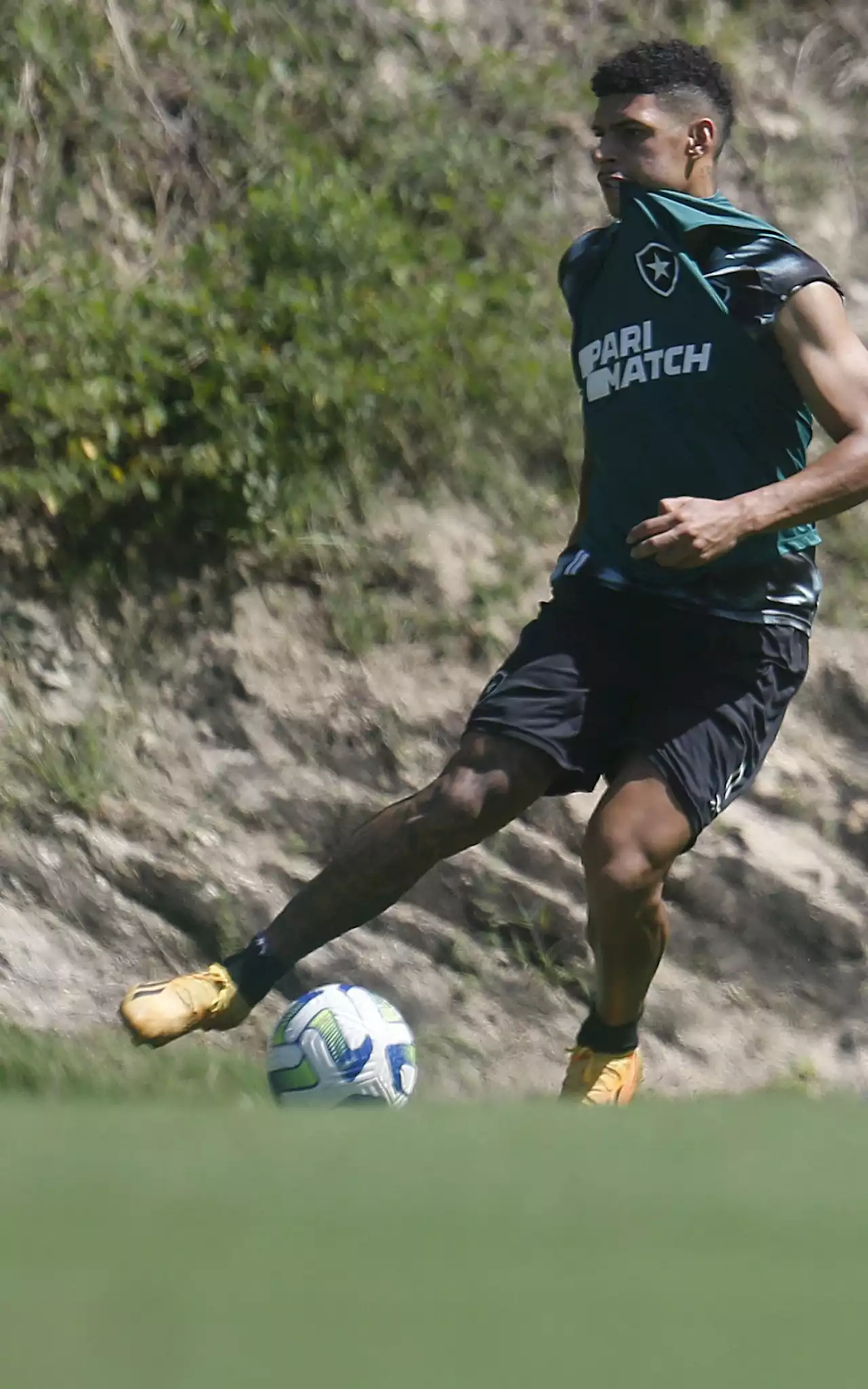 Alvo de disputa entre Botafogo e Flamengo, Luis Henrique vive melhor temporada na carreira | Botafogo