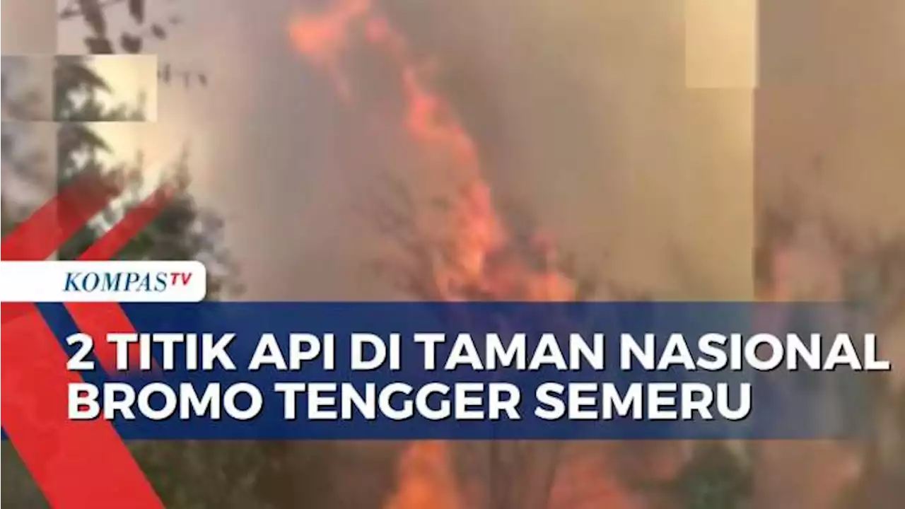 Imbas Kebakaran Hutan dan Lahan Vegetasi, Lokasi Wisata ke Gunung Bromo Sempat Ditutup