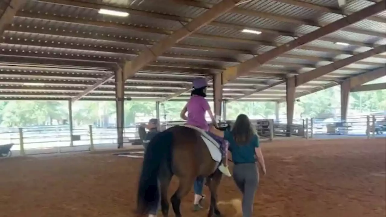 A closer look at the healing power of horses at Inspiration Ranch in Magnolia