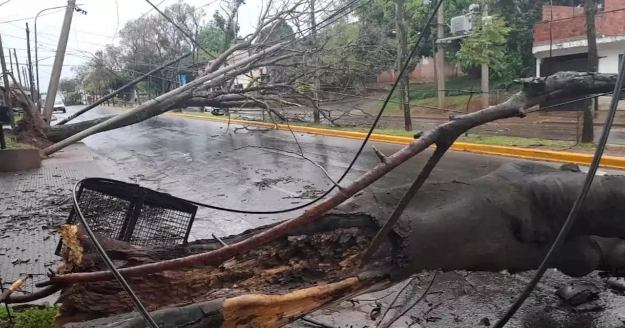 Temporal: se electrocutó y murió en Misiones | Sucesos