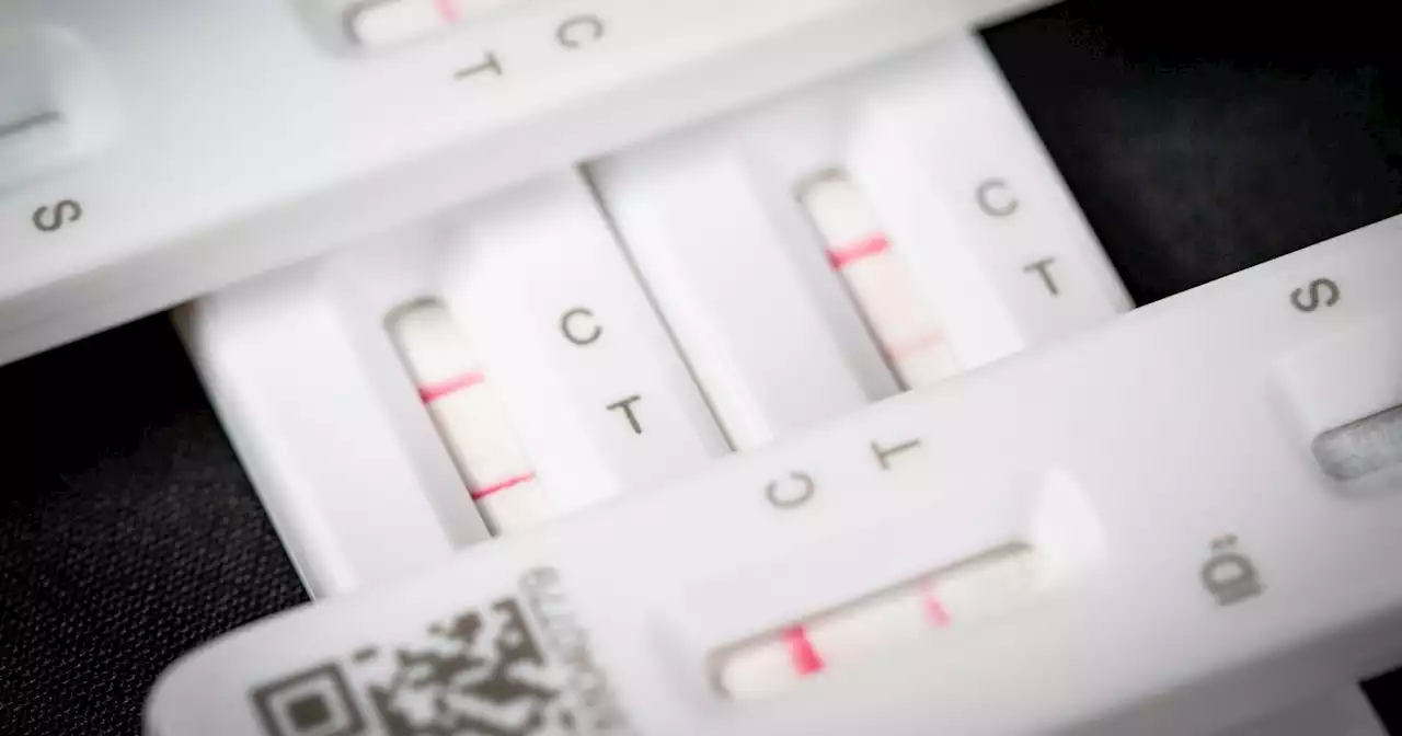 New Covid Pirola cases confirmed in UK as mutated variant found in wastewater