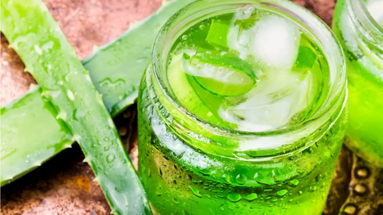 Aloe Vera: Zaubertrank für reine Haut? Ärztin warnt diese Personen vor Hype