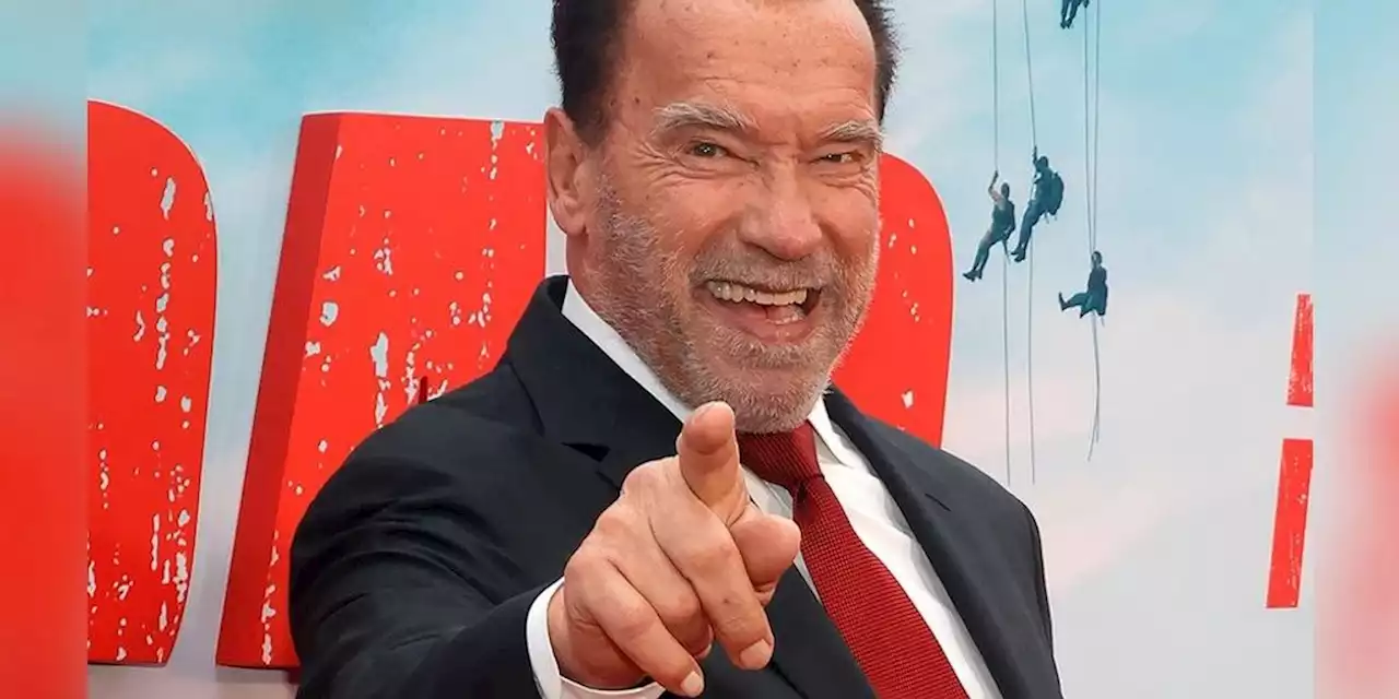 Arnold Schwarzenegger wird zum Kampagnengesicht für Lidl