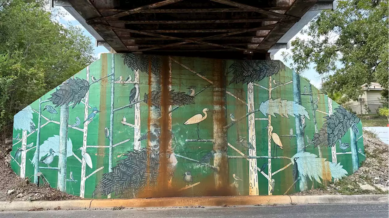 San Antonio artist transforms local underpass into cypress grove with public art project '