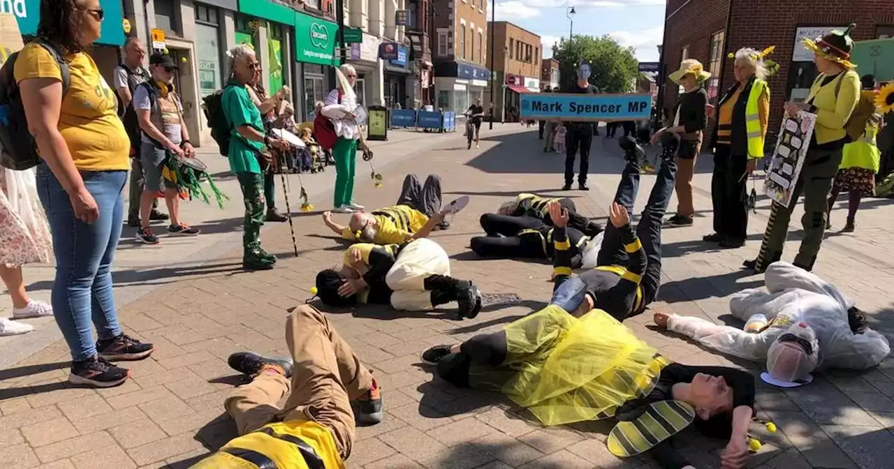 Campaigners dressed as bees lie down in Notts town centre