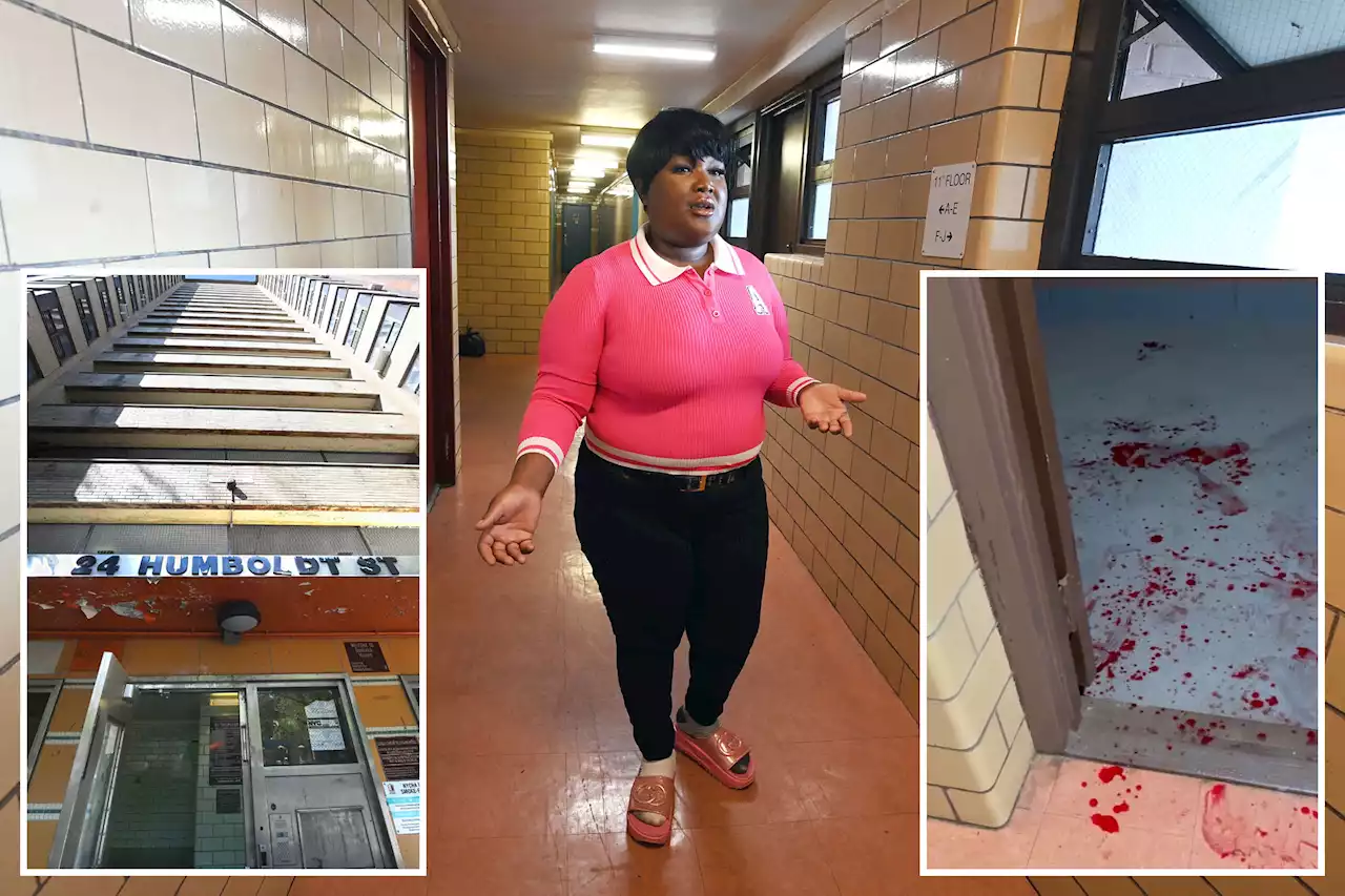 Mom stuck mopping bloody mess in NYCHA building after vicious slashing