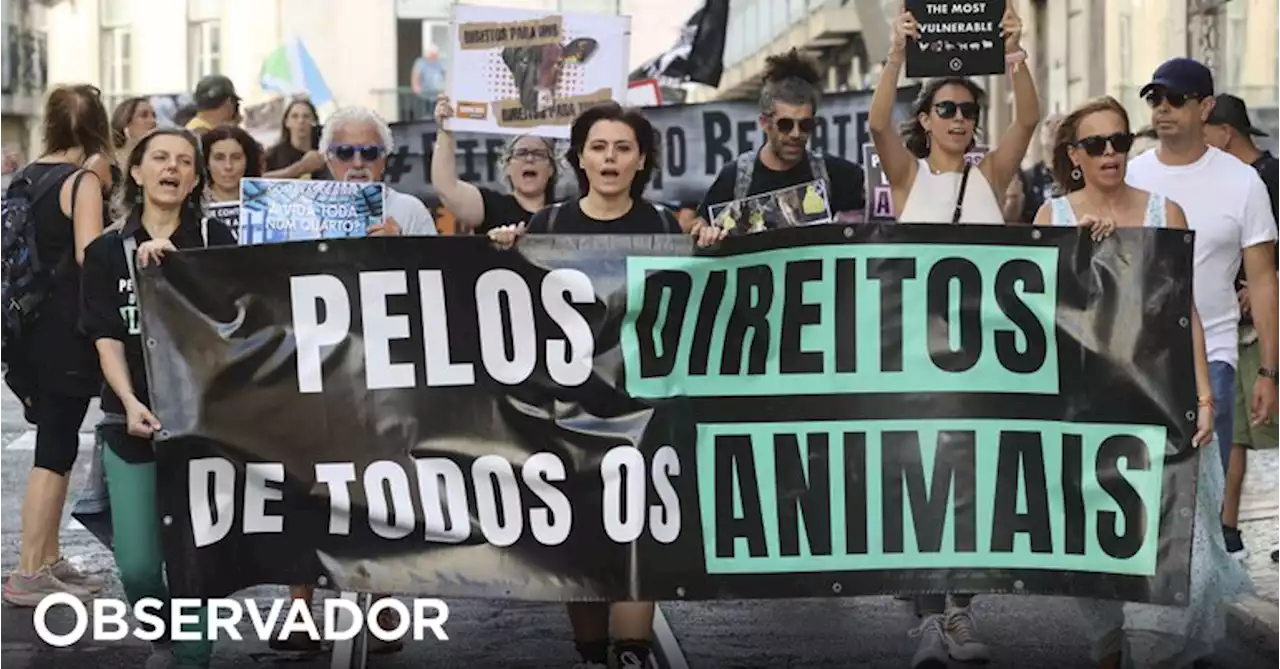 Cerca de 200 pessoas marcham em Lisboa em defesa dos direitos dos animais