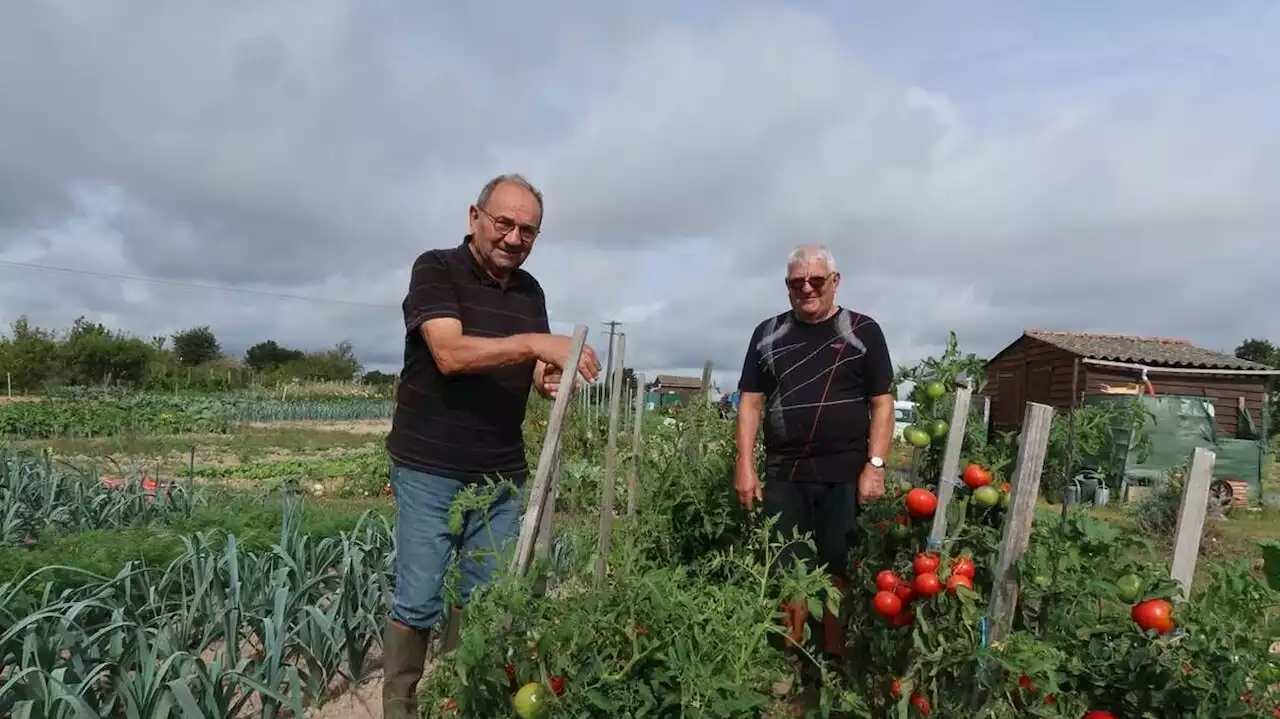 Des parcelles encore disponibles aux jardins familiaux de Bressuire