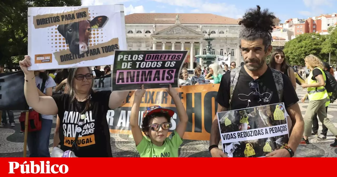 Cerca de 200 pessoas marcham em Lisboa em defesa dos direitos dos animais