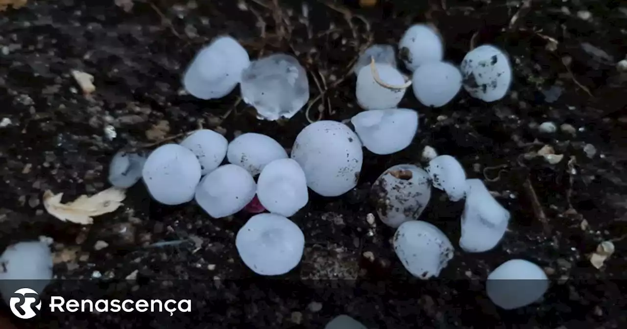 Temporal causa estragos em Trás-os-Montes e Serra da Estrela