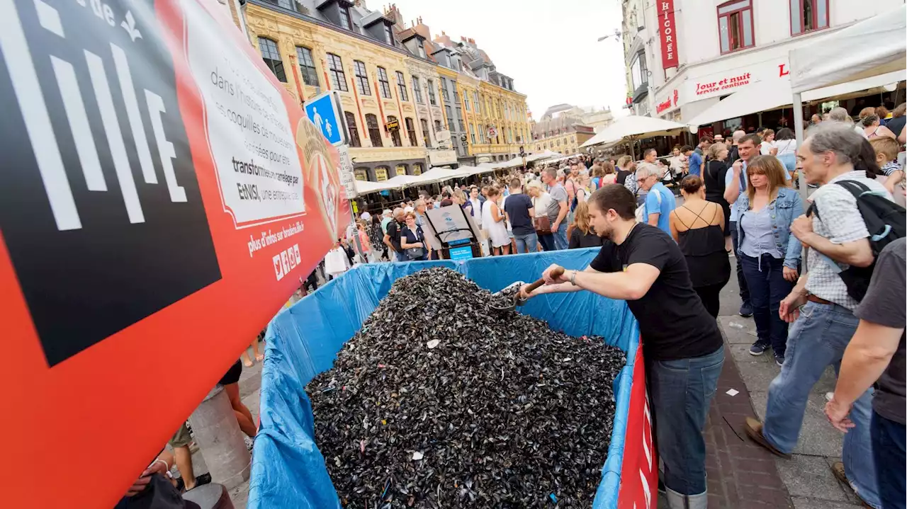 France : à Lille, la plus grande braderie d’Europe recycle ses moules