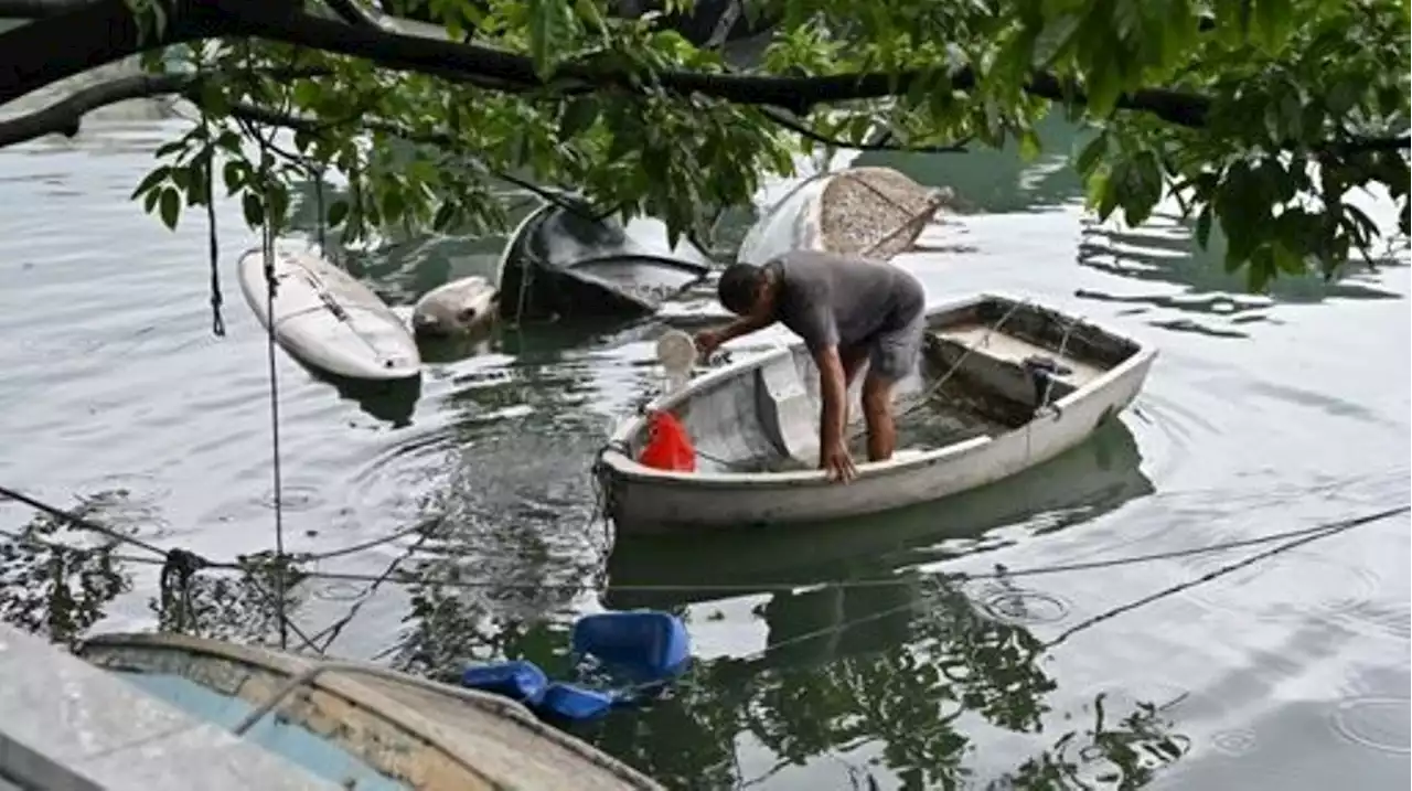 Le Typhon Saola touche le sud de la Chine, mais est moins violent que prévu