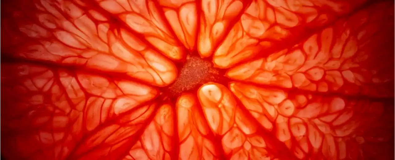 Grapefruit Juice Can Kill You, Evidence Shows