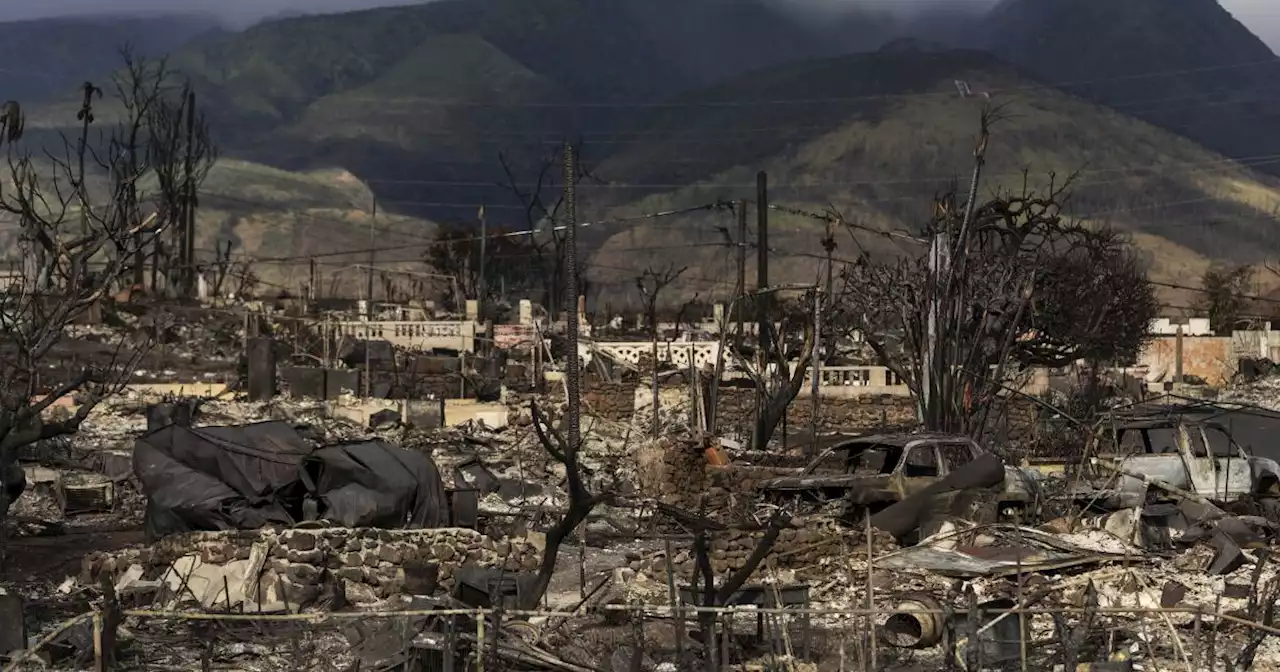 Lista de desaparecidos en incendio en Maui baja apenas a 385, frente a previsión de gobernador