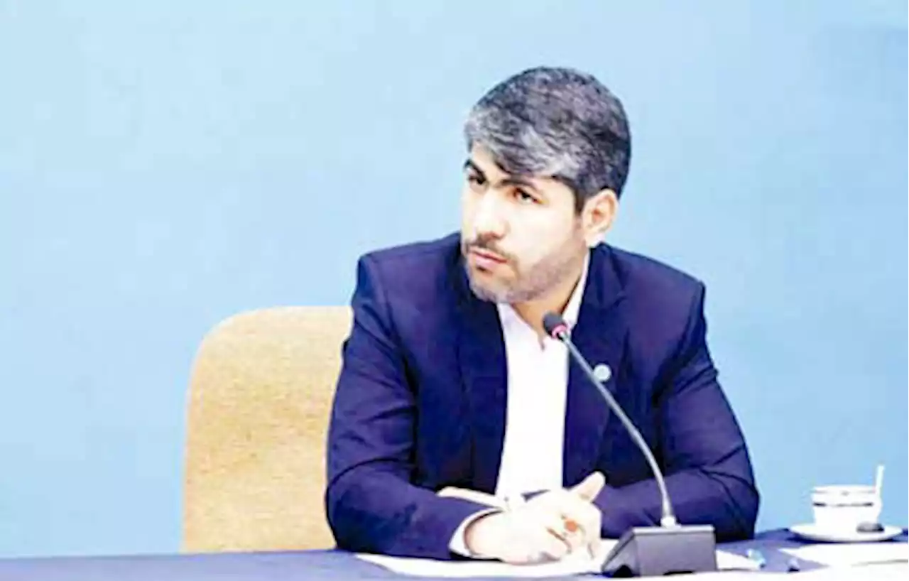 نمایندگان هم رابطه استخدامی با دولت ندارند اما حقوق‌بگیر دولت‌اند
