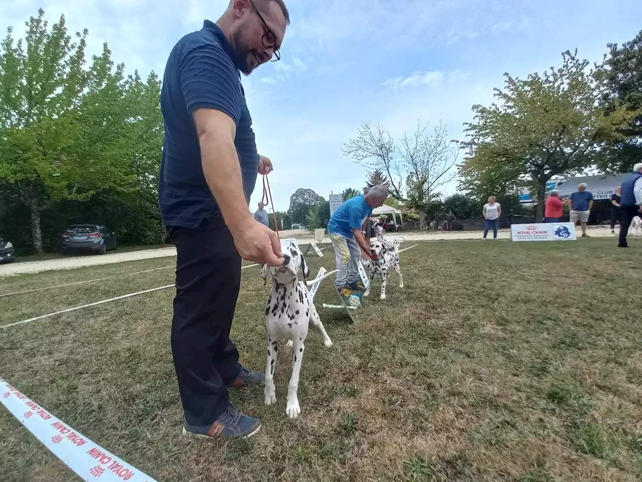 « C’est une passion » : en Dordogne, un concours de chiens fait le plein