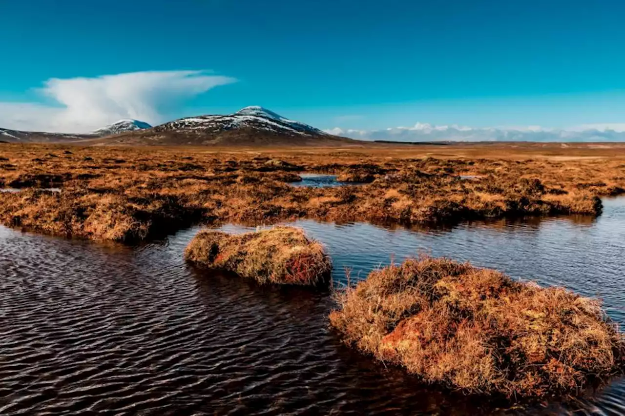 Our natural world is in trouble: let's see Scotland’s plan to fix it