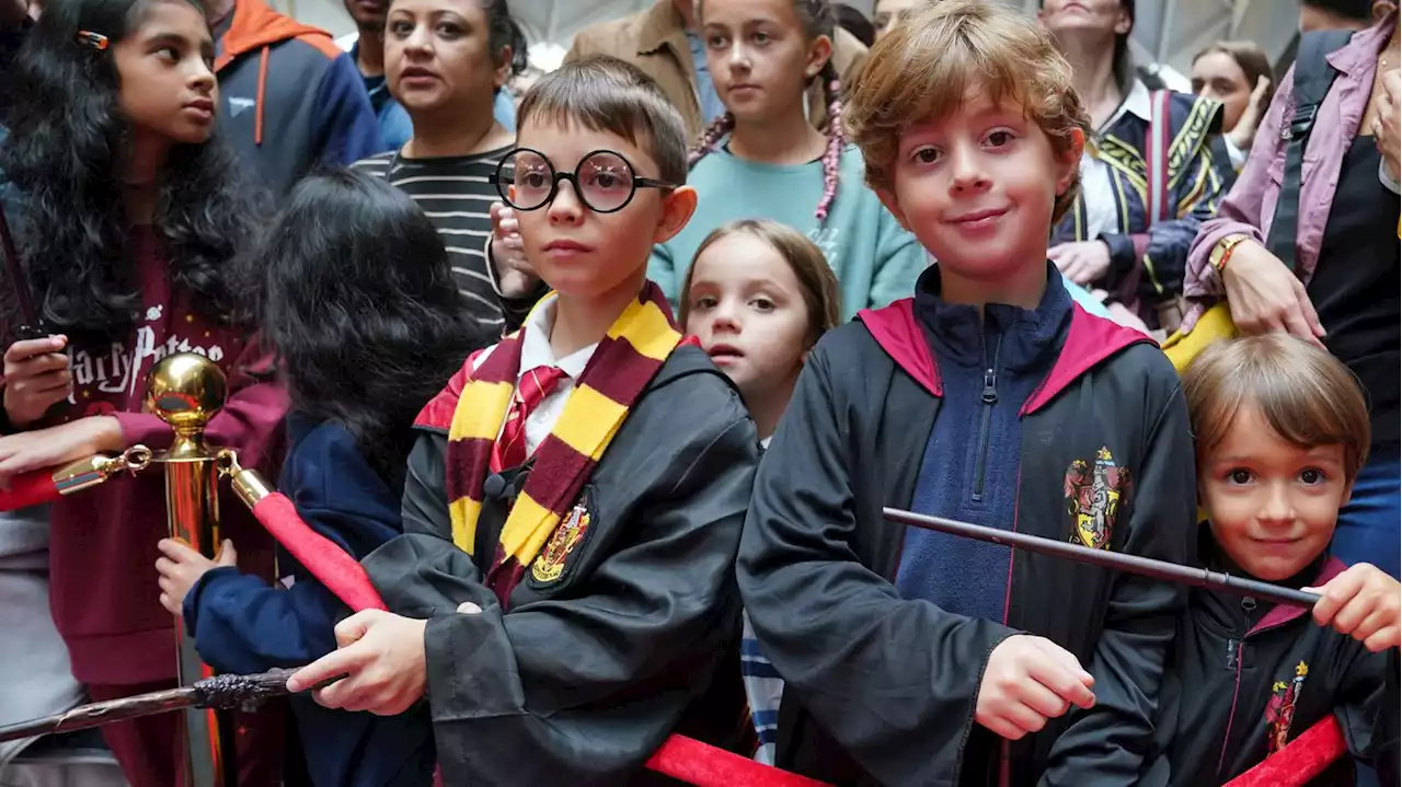 Jubel auf Gleis 9 3/4: Tausende schicken Harry Potter symbolisch zur Schule