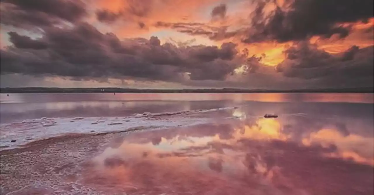 Lago Hillier: tudo o que se sabe sobre a lagoa cor-de-rosa na Austrália